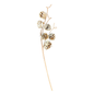 Piñas ramo x6 con blanco
