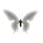 Mariposa Luz LED con movimiento (Grande) - 60cm